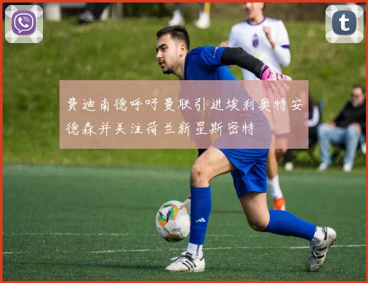 费迪南德呼吁曼联引进埃利奥特安德森并关注荷兰新星斯密特